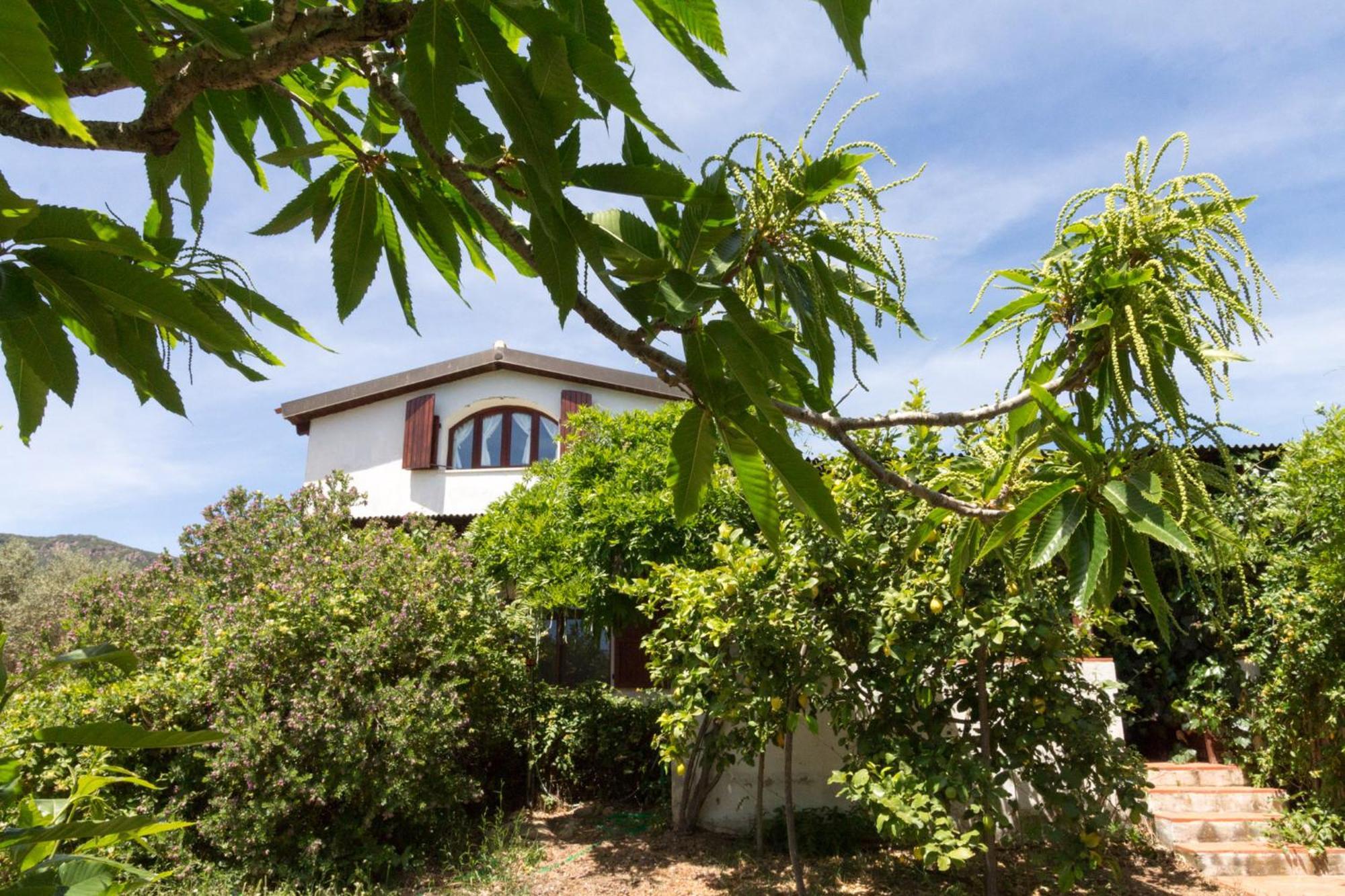 Abba Arrubia Apartment Camisa Exterior photo